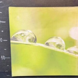 Картина "Краплі"