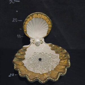 Біло-золота раковина