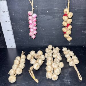 Часник бутафорний