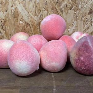 Персик бутафорний