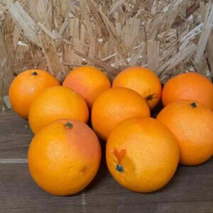 Апельсини бутафорні