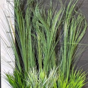 Трава висока