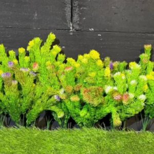 Хвощ польовий