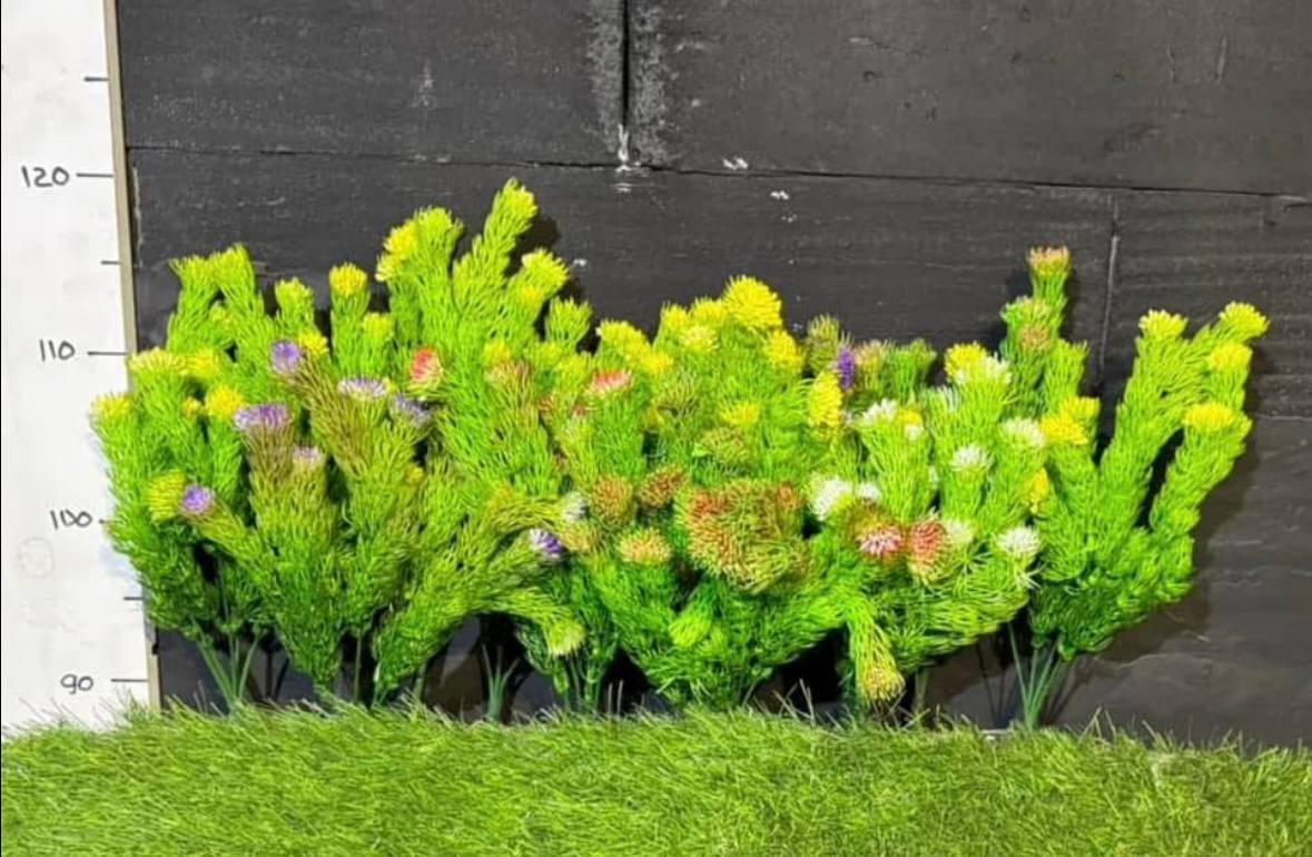 Хвощ польовий