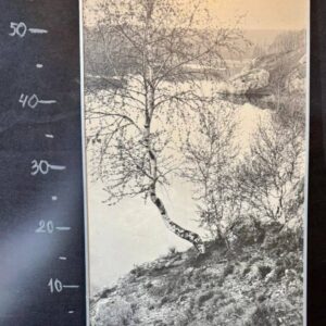 Картина "Природа"