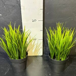 Трава в горщику