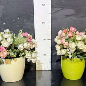 Піоновидна роза букет