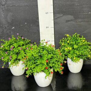 Квітучий вазон