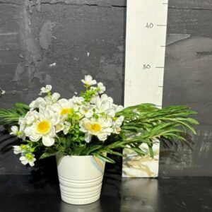 Ромашка з папороттю вазон