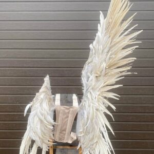 Крила Ангела