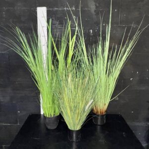 Трава висока горщик