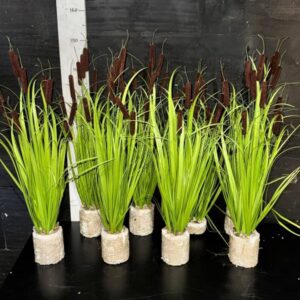 Камиш декоративний