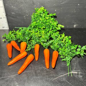 Морква бутафорна